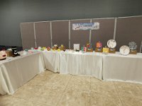 Copy of IMG 20230710 154342